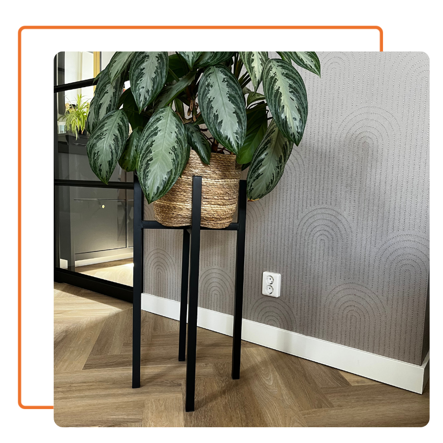 plinten-en-vloerafwerking-cruquius plinten-en-vloerafwerking-cruquius